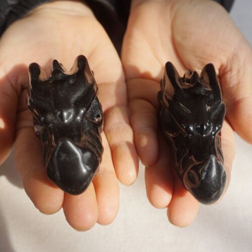 10Pcs 2.2LB Natural Black Obsidian Quartz Crystal Dragon Head Carving Healing