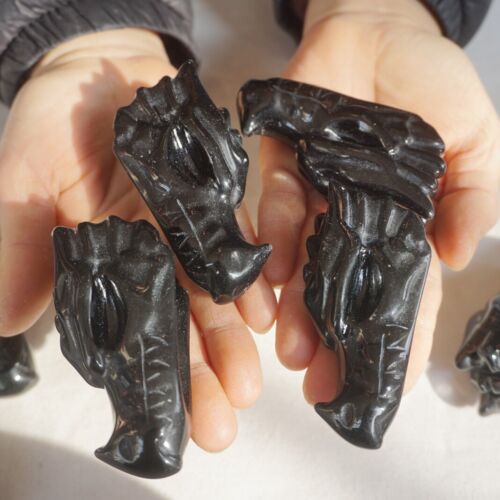 10Pcs 2.2LB Natural Black Obsidian Quartz Crystal Dragon Head Carving Healing