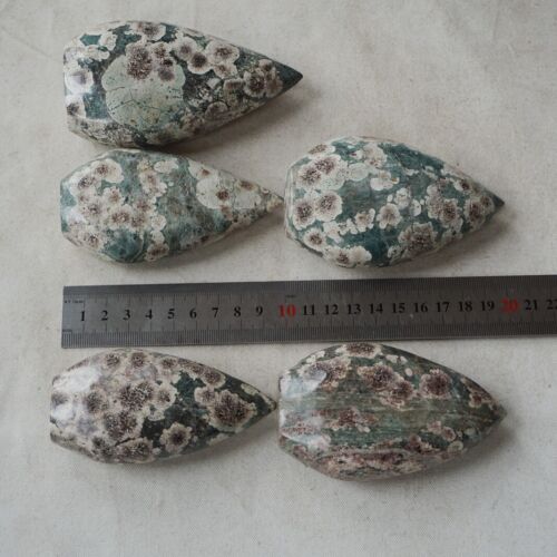 2.4KG 5.2LB 10Pcs Natural Green Sakura Jasper Crystal Point Flame Palm Stone Healing