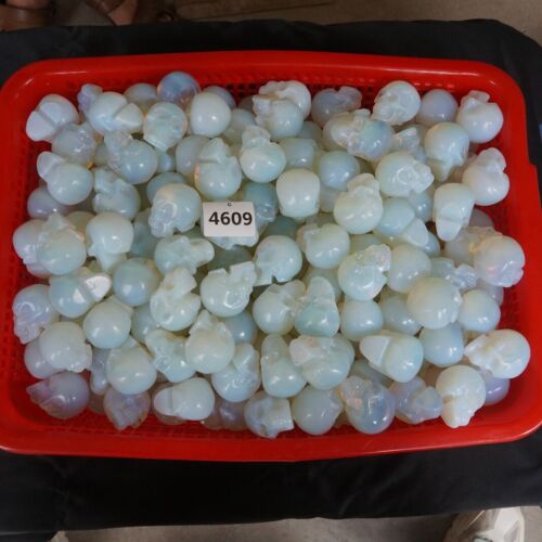 20Pcs 1.5KG 3.2LB White Opal Opalite Quartz Crystal Skull Head Carving Healing Bulk