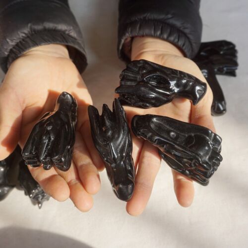 10Pcs 2.2LB Natural Black Obsidian Quartz Crystal Dragon Head Carving Healing