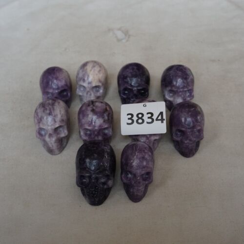 10 Pieces Small Natural Purple Mica Lepidolite Crystal Skull Healing Africa