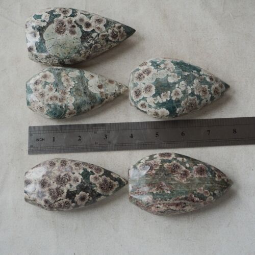 2.4KG 5.2LB 10Pcs Natural Green Sakura Jasper Crystal Point Flame Palm Stone Healing