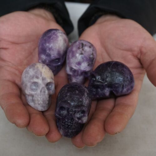 10 Pieces Small Natural Purple Mica Lepidolite Crystal Skull Healing Africa