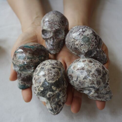 2.6KG 5.7LB 10Pcs Natural Green Sakura Jasper Crystal Skull Carving Healing Russia Bulk