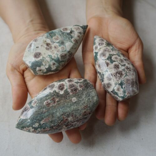 2.4KG 5.2LB 10Pcs Natural Green Sakura Jasper Crystal Point Flame Palm Stone Healing