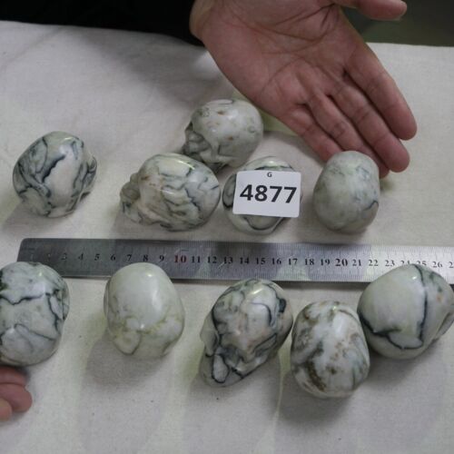 2KG 4.4LB 10Pcs Natural Network Jasper Crystal Skull Carving Head Sculpture Healing