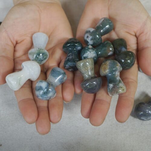 2kg 100Pcs 4.4LB Natural Moss Agate Carnelian Crystal Mushroom Carving Palm Healing 35mm