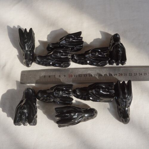 10Pcs 2.2LB Natural Black Obsidian Quartz Crystal Dragon Head Carving Healing