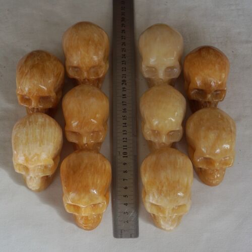 4.8kg 10.5LB 10Pcs Natural Yellow Translucent Calcite Crystal Skull Carving Healing