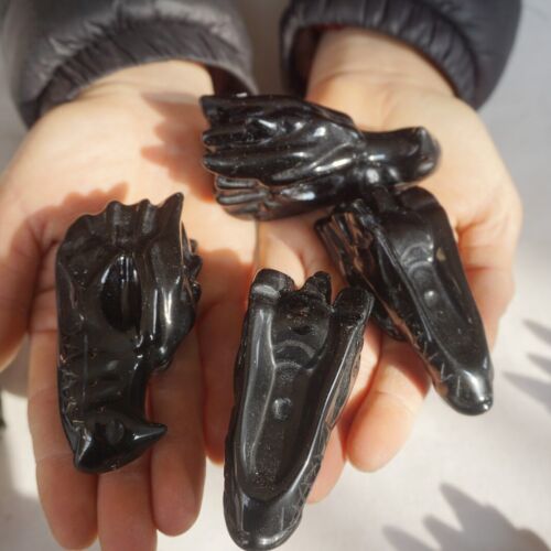 10Pcs 2.2LB Natural Black Obsidian Quartz Crystal Dragon Head Carving Healing