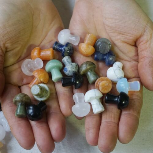 2KG 4.4LB 400Pcs Tiny Natural Quartz Crystal Jasper Mushroom Mix Stones Tumbled Healing