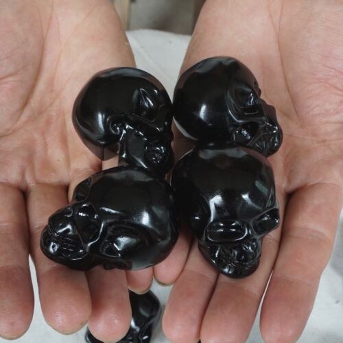 20Pcs 3.2LB Small Natural Obsidian Quartz Crystal Skull Head Carving Healing