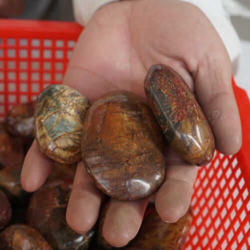 5kg 60 Pieces 11LB Cherry Creek Jasper Picasso Crystal Tumbled Palm Stone Healing