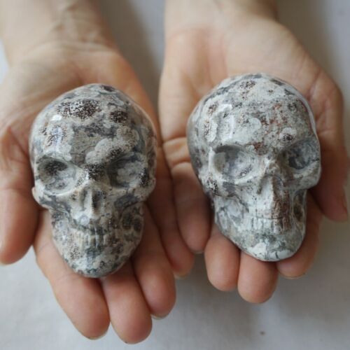 2.6KG 5.7LB 10Pcs Natural Green Sakura Jasper Crystal Skull Carving Healing Russia Bulk