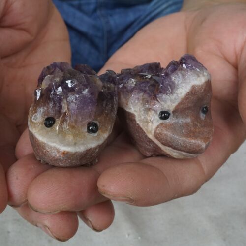 10 Pieces 1.8LB Natural Amethyst Quartz Crystal Cluster hedgehog Carved Head Sculpture