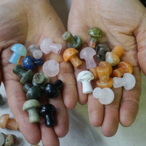 2KG 4.4LB 400Pcs Tiny Natural Quartz Crystal Jasper Mushroom Mix Stones Tumbled Healing