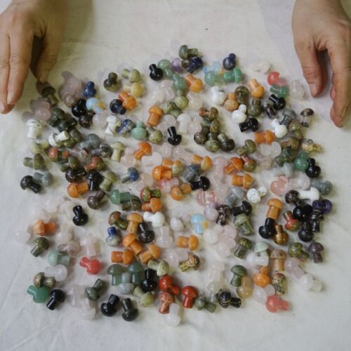 2KG 4.4LB 400Pcs Tiny Natural Quartz Crystal Jasper Mushroom Mix Stones Tumbled Healing