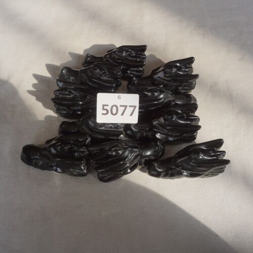 10Pcs 2.2LB Natural Black Obsidian Quartz Crystal Dragon Head Carving Healing