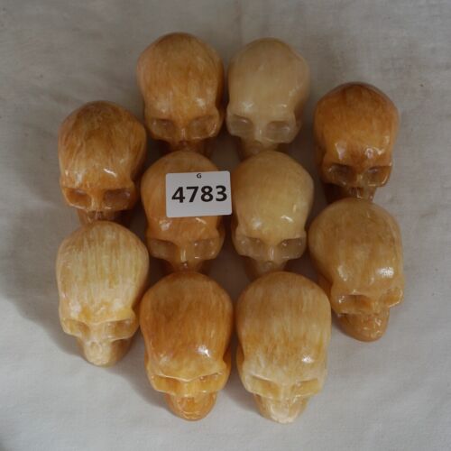 4.8kg 10.5LB 10Pcs Natural Yellow Translucent Calcite Crystal Skull Carving Healing