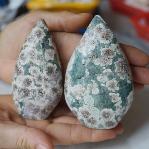 2.4KG 5.2LB 10Pcs Natural Green Sakura Jasper Crystal Point Flame Palm Stone Healing