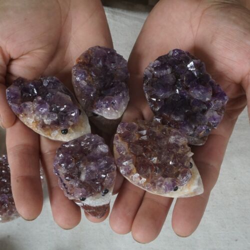 10 Pieces 1.8LB Natural Amethyst Quartz Crystal Cluster hedgehog Carved Head Sculpture