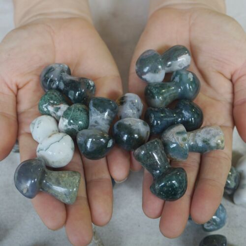 2kg 100Pcs 4.4LB Natural Moss Agate Carnelian Crystal Mushroom Carving Palm Healing 35mm