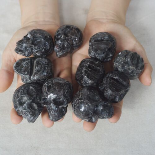 4.2LB 20Pcs 1.9kg Astrophylite Garnet Blue Flashes Crystal Skull Carving Head Healing 5cm