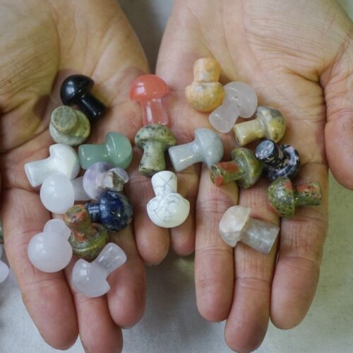 2KG 4.4LB 400Pcs Tiny Natural Quartz Crystal Jasper Mushroom Mix Stones Tumbled Healing