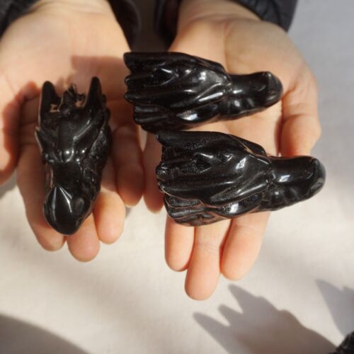 10Pcs 2.2LB Natural Black Obsidian Quartz Crystal Dragon Head Carving Healing