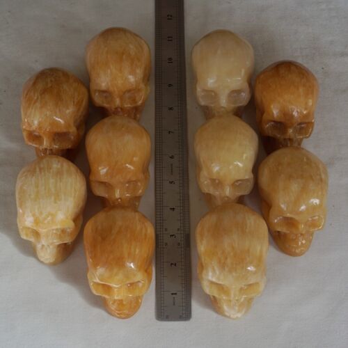 4.8kg 10.5LB 10Pcs Natural Yellow Translucent Calcite Crystal Skull Carving Healing