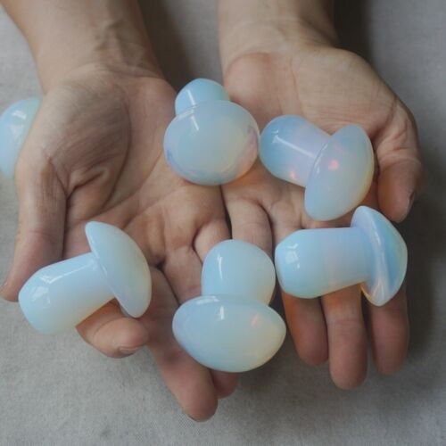 1.4KG 20Pcs 3LB White Opal Opalite Quartz Crystal Mushroom Carving Palm Healing 5cm