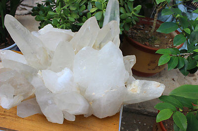 55kg 122LB HUGE NATURAL WHITE CLEAR QUARTZ CRYSTAL CLUSTER POINTS ORIGINAL Brazil