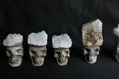 20 Pieces Natural Clear Quartz Crystal Cluster Skulls Carved Head Sculpture Healing Wholesales Lot