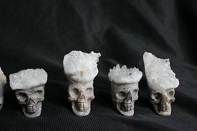 20 Pieces Natural Clear Quartz Crystal Cluster Skulls Carved Head Sculpture Healing Wholesales Lot