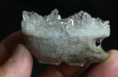 10 Natural Clear Quartz Crystal Cluster hedgehog Carved Head Sculpture Healing