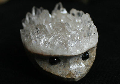 10 Natural Clear Quartz Crystal Cluster hedgehog Carved Head Sculpture Healing