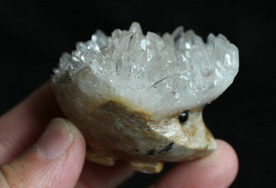 10 Natural Clear Quartz Crystal Cluster hedgehog Carved Head Sculpture Healing