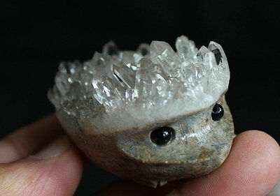 10 Natural Clear Quartz Crystal Cluster hedgehog Carved Head Sculpture Healing