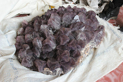 134LB 61kg Huge Raw Natural Amethyst Quartz Crystal Cluster Points Rock Specimen