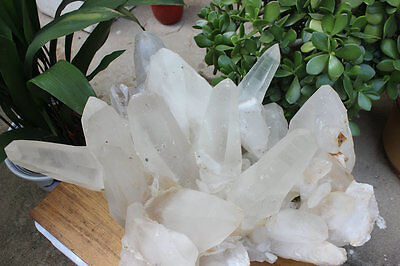 55kg 122LB HUGE NATURAL WHITE CLEAR QUARTZ CRYSTAL CLUSTER POINTS ORIGINAL Brazil