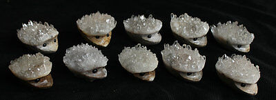 10 Natural Clear Quartz Crystal Cluster hedgehog Carved Head Sculpture Healing