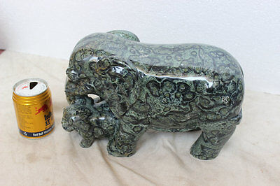 11.4KG 22.96LB Natural Stromatolite Kambara Jasper Crystal Elephants Carved Mother Baby