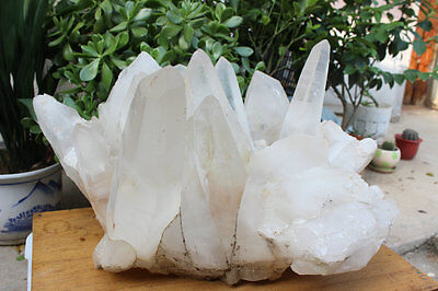 55kg 122LB HUGE NATURAL WHITE CLEAR QUARTZ CRYSTAL CLUSTER POINTS ORIGINAL Brazil