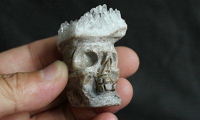 20 Pieces Natural Clear Quartz Crystal Cluster Skulls Carved Head Sculpture Healing Wholesales Lot