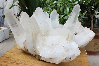 55kg 122LB HUGE NATURAL WHITE CLEAR QUARTZ CRYSTAL CLUSTER POINTS ORIGINAL Brazil