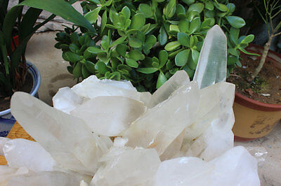 55kg 122LB HUGE NATURAL WHITE CLEAR QUARTZ CRYSTAL CLUSTER POINTS ORIGINAL Brazil