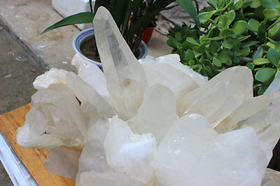 55kg 122LB HUGE NATURAL WHITE CLEAR QUARTZ CRYSTAL CLUSTER POINTS ORIGINAL Brazil