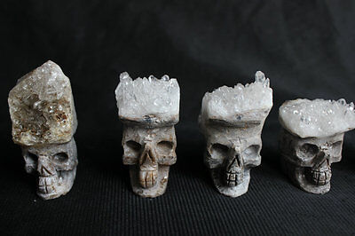 20 Pieces Natural Clear Quartz Crystal Cluster Skulls Carved Head Sculpture Healing Wholesales Lot