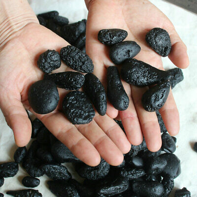 1Kg 2.2LB Rare Meteorite Black Tektite Specimen Wholesale Price China